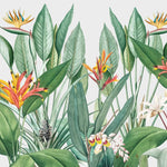 Tapet personalizat tropical cu jungla tropicala in nuante de verde cu plante tropicale tropical paradise