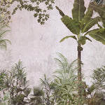 Tapet personalizat Tropical cu copaci tropicali infloriti - TROPICAL BLOOM TREE