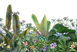 Tapet personalizat Tropical cu flori si plante tropicale - TROPICAL ORCHID