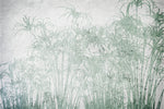 Tapet personalizat Tropical cu palmieri verzi pe un fundal texturat gri de ciment - ABSTRACT CONCRETE BAMBOO