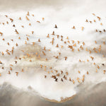 Tapet personalizat zen oriental cu stol de pasari in apus si ceata sunset flock