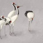 Tapet personalizat zen oriental cu cocori eleganti intr un cadru simplist evocand liniste si puritate misty cranes