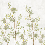 Tapet Zen Oriental cu copaci mimosa pe un fundal texturat - MIMOSA TREE