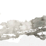 Tapet Japandi cu bonsai batrani pictati in stil watercolor - ANCIENT BONSAI