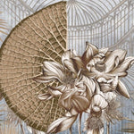 Tapet personalizat victorian sera florala oaza verdeata detalii botanice luxuriante farmec gradinilor victoriene floral greenhouse