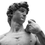 Fototapet Personalizat Victorian cu statueta lui David - MICHELANGELO'S DAVID