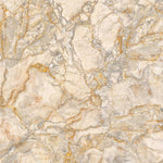 Tapet personalizat marble in nuante bej aurii alaska gold