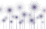 Tapet personalizat natura pentru copii cu flori de papadii mov pe fundal alb purple dandelions