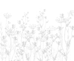 Tapet Personalizat Natura pentru copii cu plante salbatice in nuante de gri si alb - GREY WILDFLOWERS