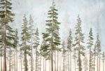 Tapet Personalizat Natura pentru copii cu brazi inalti  - NORWAY SPRUCE