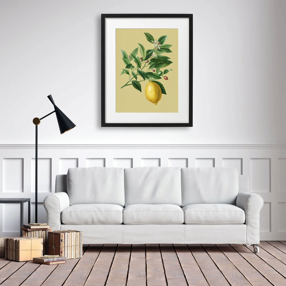 Tablou cu rama ce ilustreaza o creanga de lamai desenata pe un fundal galben cu o singura lamaie atarnand de ea vintage lemon