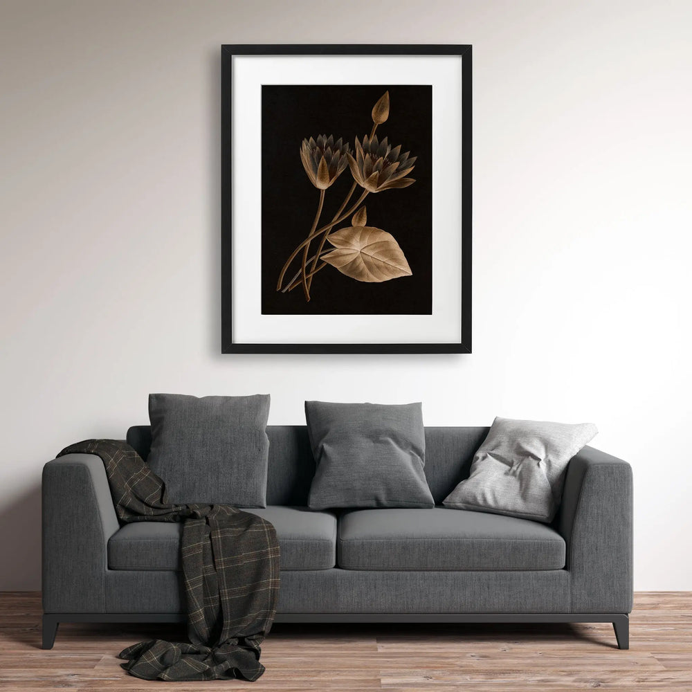 Tablou cu rama ce ilustreaza o floare de lotus egiptean sepia pe fundal negru egyptian lotus