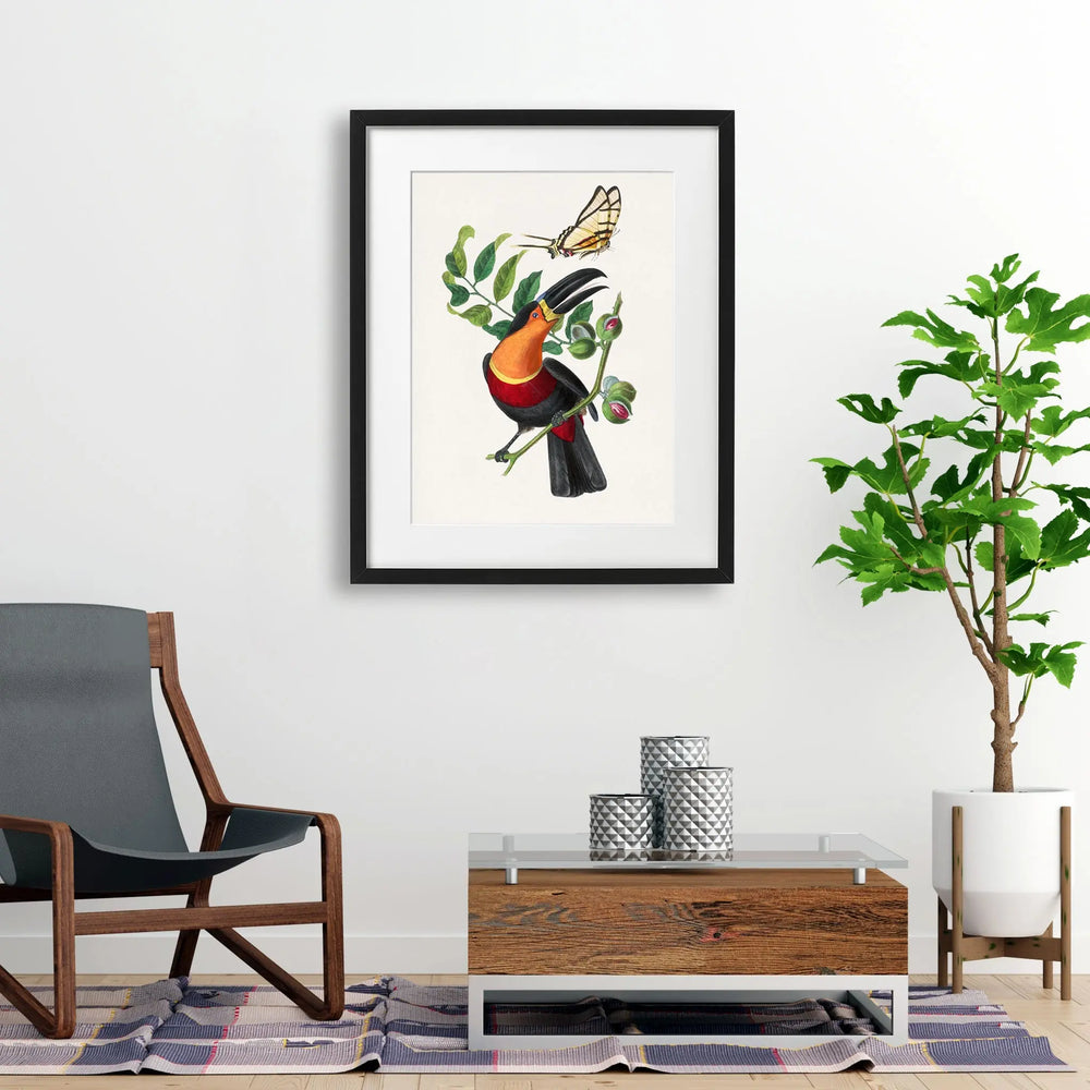 Tablou cu rama care prezinta o pasare tucan care sta pe o ramura in timp ce incearca sa prinda un fluture tucan