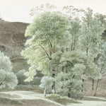 Tapet personalizat watercolor cu padure pictata in tehnica watercolor watercolor forest