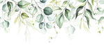 Fototapet personalizat watercolor cu frunze verzi pe fundal alb aesthetic leaves