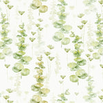 Tapet personalizat watercolor cu frunze de eucalipt pe un fundal alb eucalipt leaves