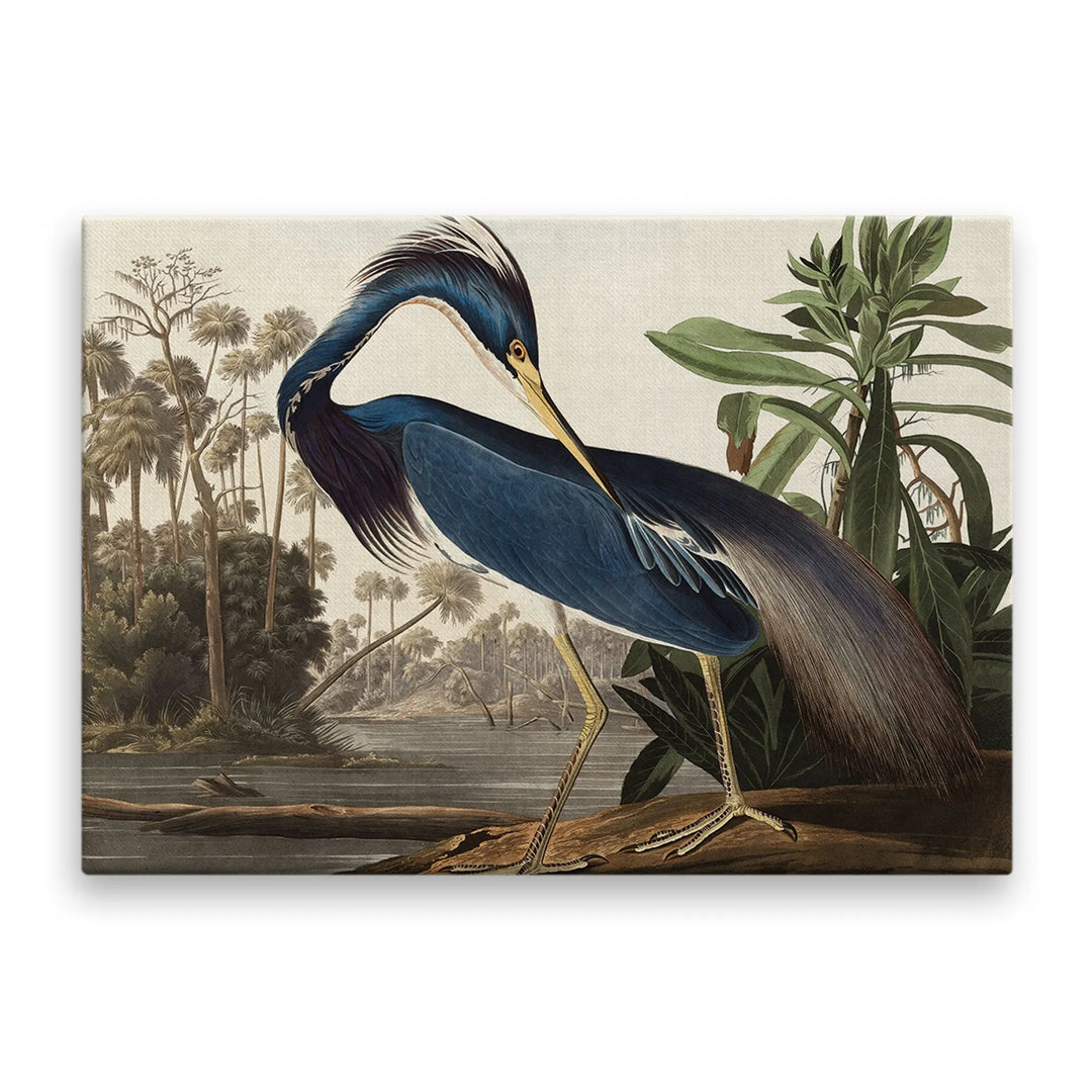 Tablou canvas cu starcul din louisiana opera de arta james audubon louisiana heron