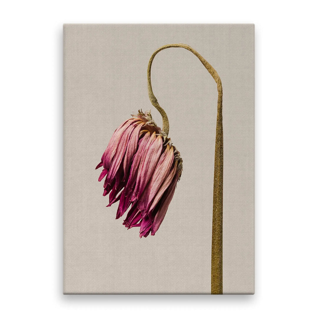 Tablou canvas ce ilustreaza o floare vintage roz retro flower