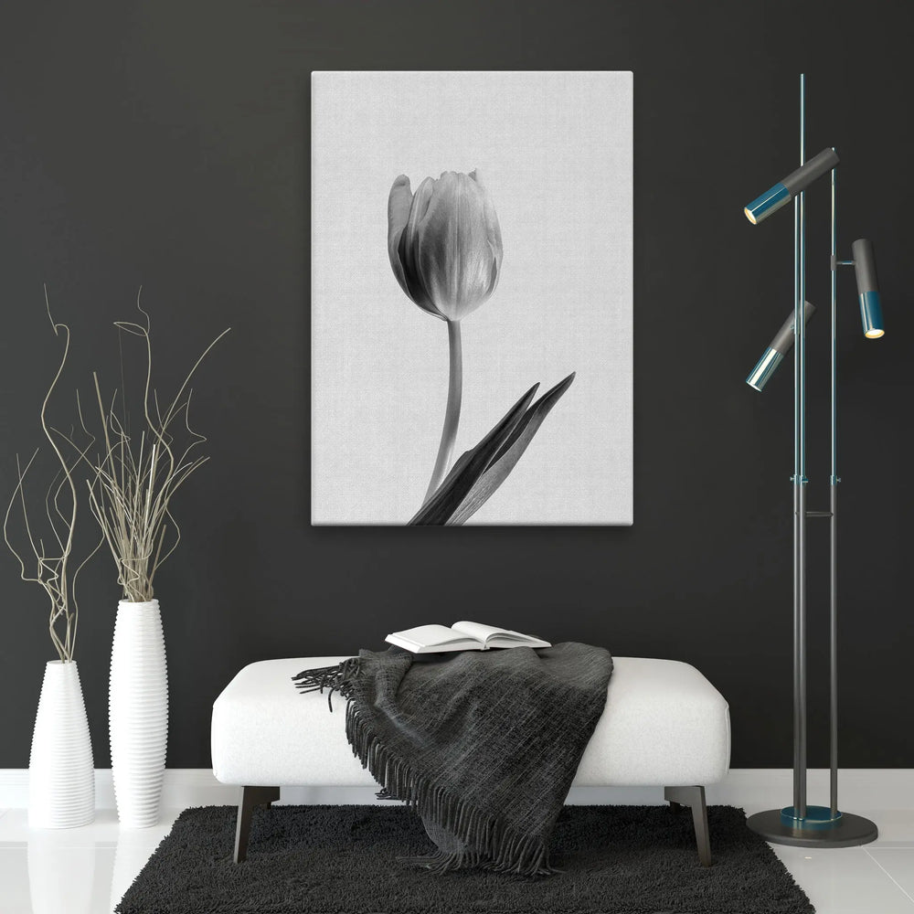 Tablou canvas ce prezinta o lalea alb negru soft tulip