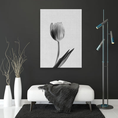 tablou-canvas-ce-prezinta-o-lalea-alb-negru-soft-tulip