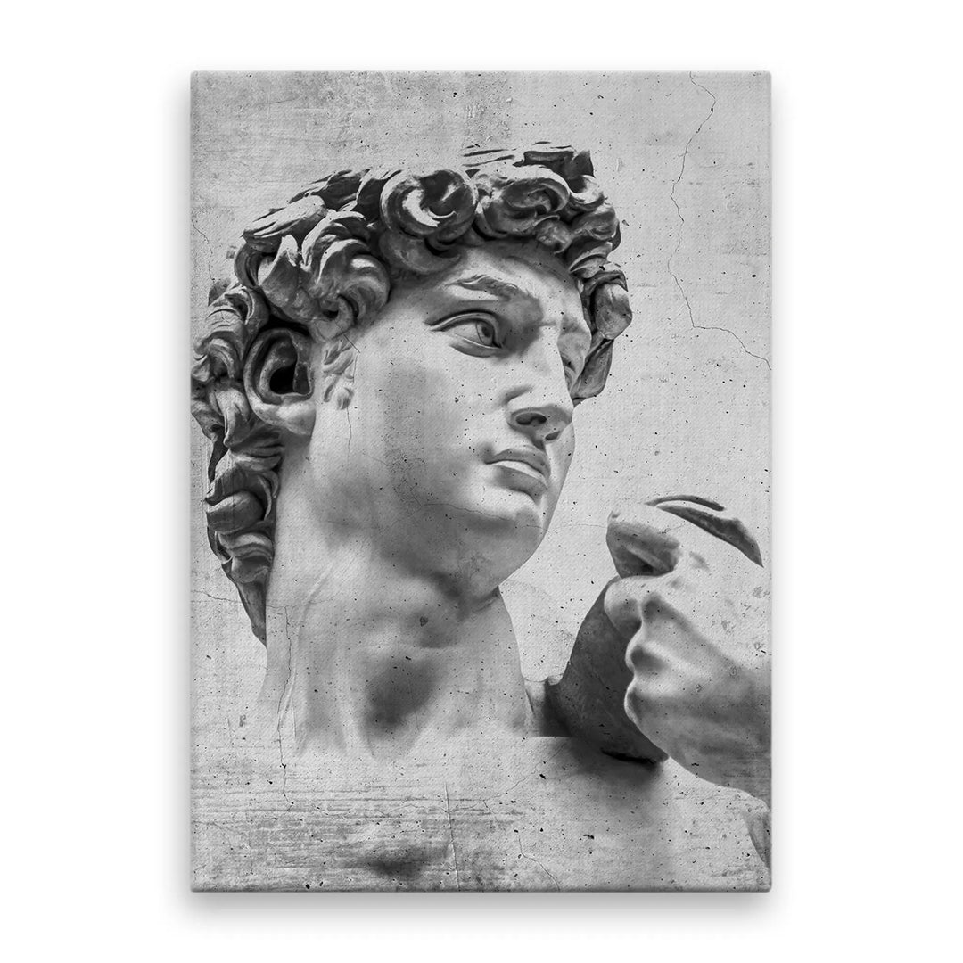 Tablou canvas care il infatiseaza pe eroul biblic david care este renumit pentru victoria sa asupra uriasului goliat the david statue