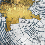 Tapet personalizat fine art cu inele de copac tip buturuga in nuante de alb si auriu white 'n gold tree rings
