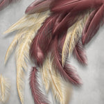 Tapet personalizat fine art cu pene in nuante de burgundy si vanilie burgundy vanilla