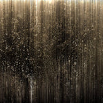 Tapet personalizat fine art cu ploaie de sclipici pe fundal negru glitter shower
