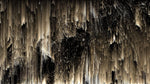 Tapet personalizat fine art in nuante de auriu si negru dark golden northen lights