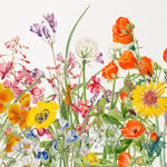 Tapet personalizat floral cu mix de flori salbatice de mac rosu crin peruan echinacea iris peacock moraea pe un fundal alb vibrant wilderness