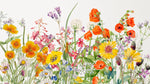 Tapet personalizat floral cu mix de flori salbatice de mac rosu crin peruan echinacea iris peacock moraea pe un fundal alb vibrant wilderness