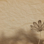 Tapet personalizat floral cu efect vintage vintage paper