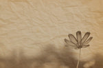 Tapet personalizat floral cu efect vintage vintage paper