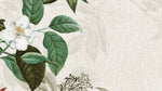 Tapet personalizat floral cu planta de iasomie sau lamaita pe un fundal texturat de panza white jasmin