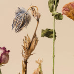 Tapet personalizat floral cu flori uscate pe un fundal bej dried flowers