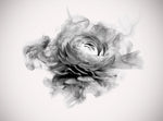 Tapet personalizat floral cu bujor in alb negru fumuriu smokey peony