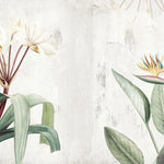 Tapet personalizat floral cu pasarea paradisului pe un perete in nunte deschise concrete bird of paradise