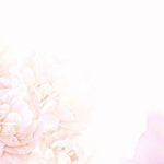 Tapet personalizat floral cu flori roz pastel pink dream