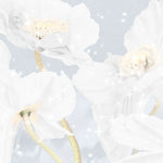 Tapet personalizat floral cu flori de mac albe white poppy