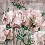 Tapet personalizat floral cu bujori rozalii pe fundal texturat de perete crapat blush peonies