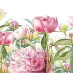 Tapet personalizat floral cu lalele roz inflorite pe fundal alb pink tulips