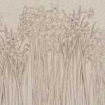 Tapet personalizat floral cu narcise desenate in creion daffodil sketch