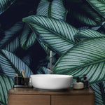 Tapet personalizat cu frunze tropicale de calathea in nuante verzi cyan calathea majestica
