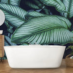 Tapet personalizat cu frunze tropicale de calathea in nuante verzi cyan calathea majestica