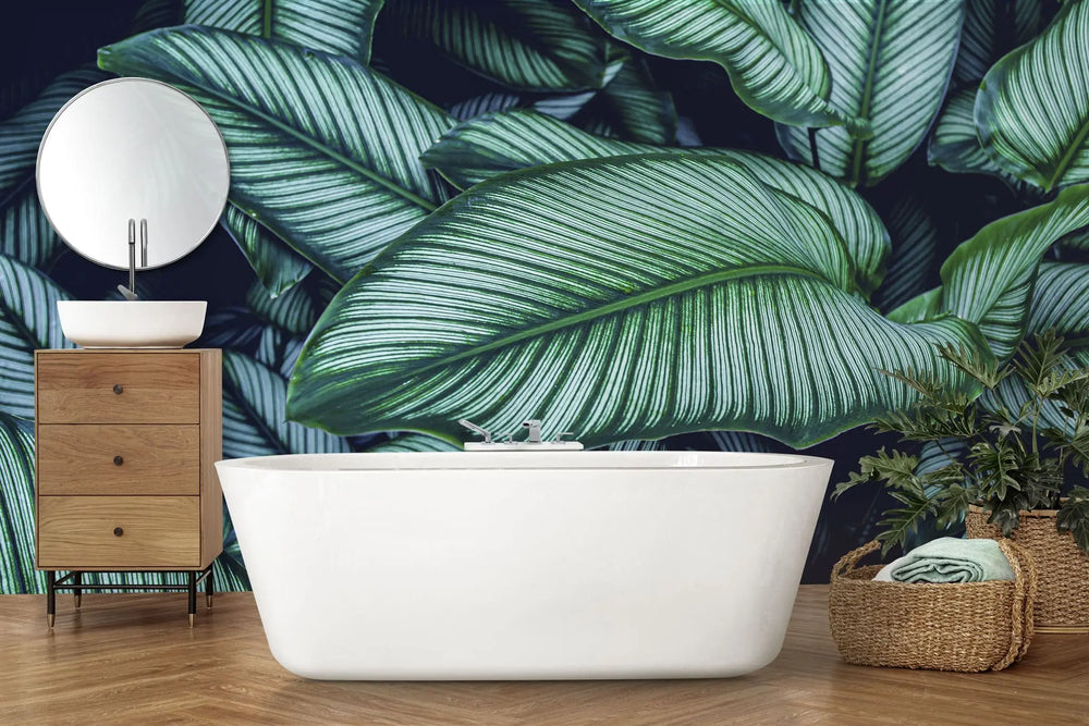 Tapet personalizat cu frunze tropicale de calathea in nuante verzi cyan calathea majestica