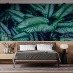 Tapet personalizat cu frunze tropicale de calathea in nuante verzi cyan calathea majestica