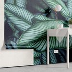 Tapet personalizat cu frunze tropicale de calathea in nuante verzi cyan calathea majestica