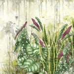 Tapet personalizat leaf cu frunze de begonie si alocasia pe un perete degradat begonia wall 