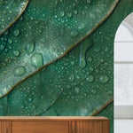Tapet personalizat leaf cu picaturi de apa pe frunze verzi in detaliu water droplets