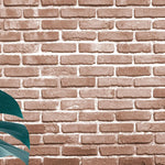 Tapet personalizat leaf cu frunze de monstera pe perete de caramida rosie tropical bricks
